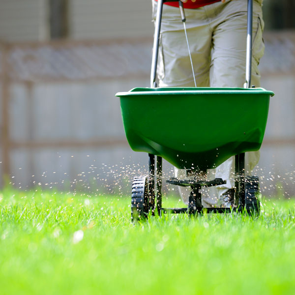 Fertilizing lawn in deals winter